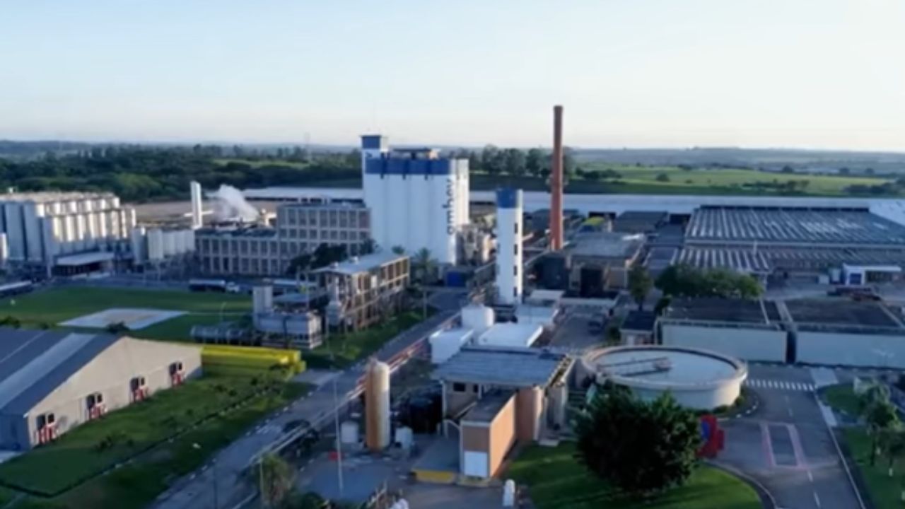 A Ambev opera com uma cultura de alta performance que une mentalidade de dono, eficiência e meritocracia para transformar metas em resultados.