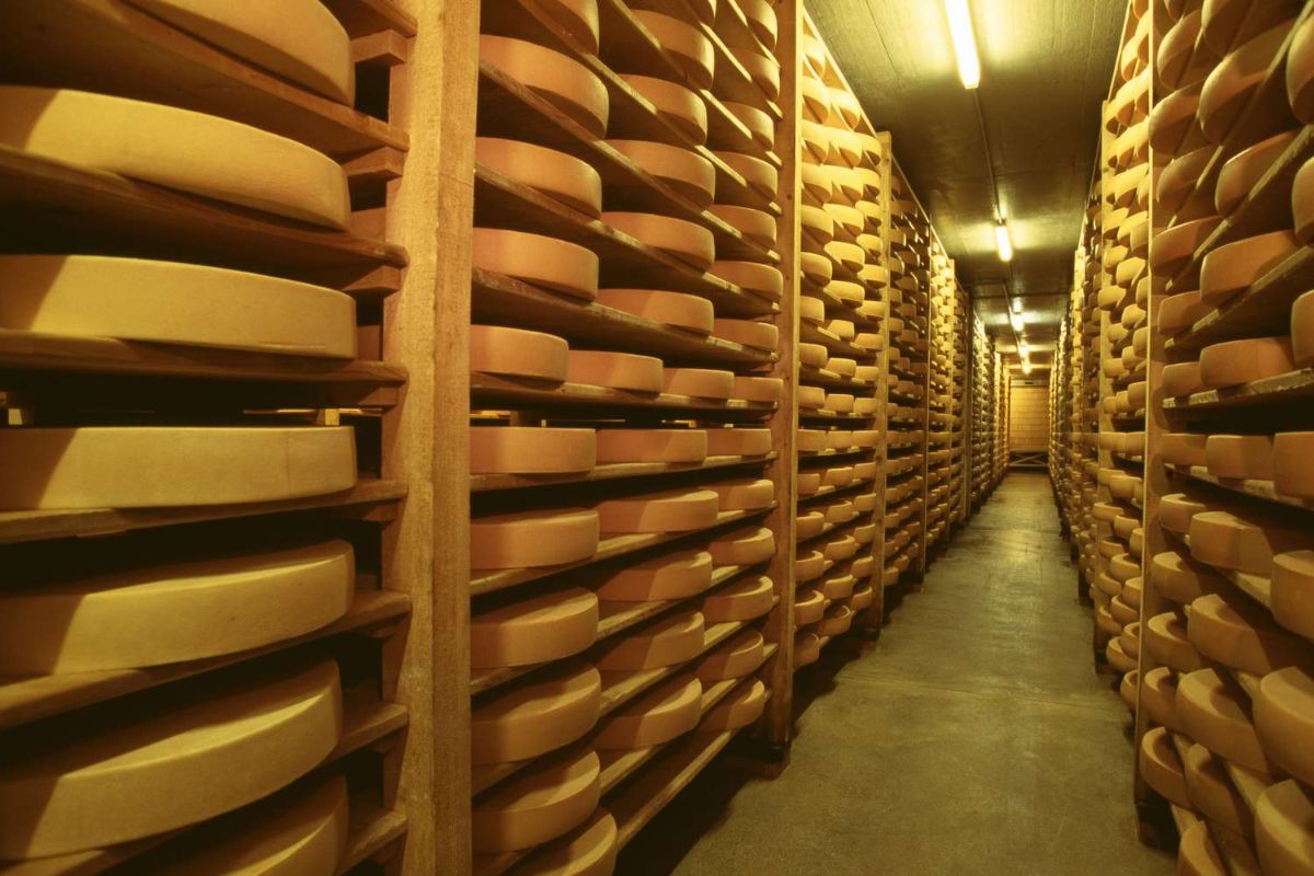 As cavernas de queijo dos EUA: a história dos milhões de quilos de queijo armazenados no subsolo