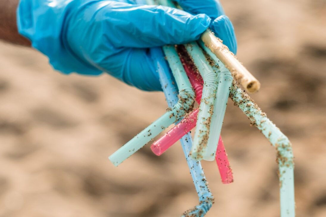 Uma mão usando luva azul de borracha segura um punhado de canudos de plástico sujos de areia.