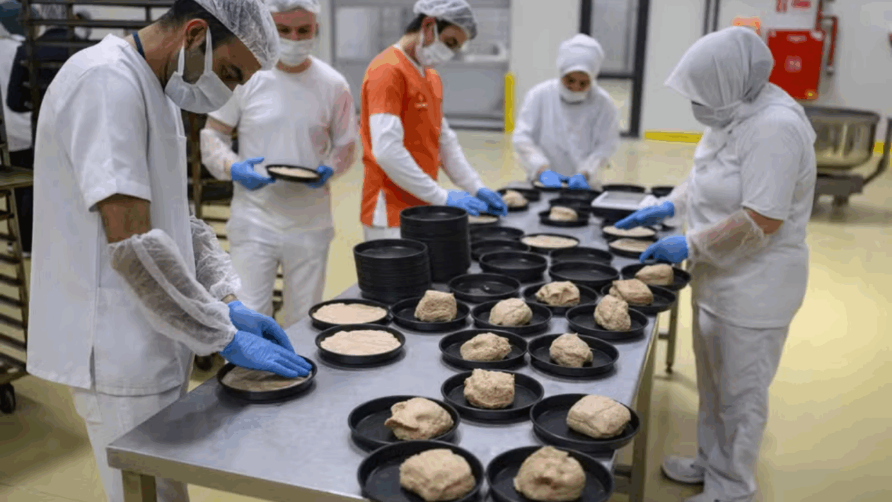 pão - descoberta - fóssil - arqueologia