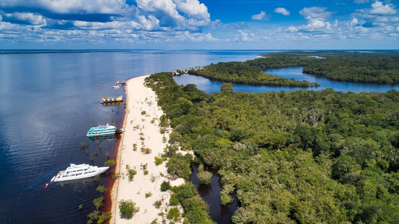 Paraíso de biodiversidade na Amazônia: arquipélago de Anavilhanas garante um turismo inesquecível com trilhas aquáticas e botos no Rio Negro