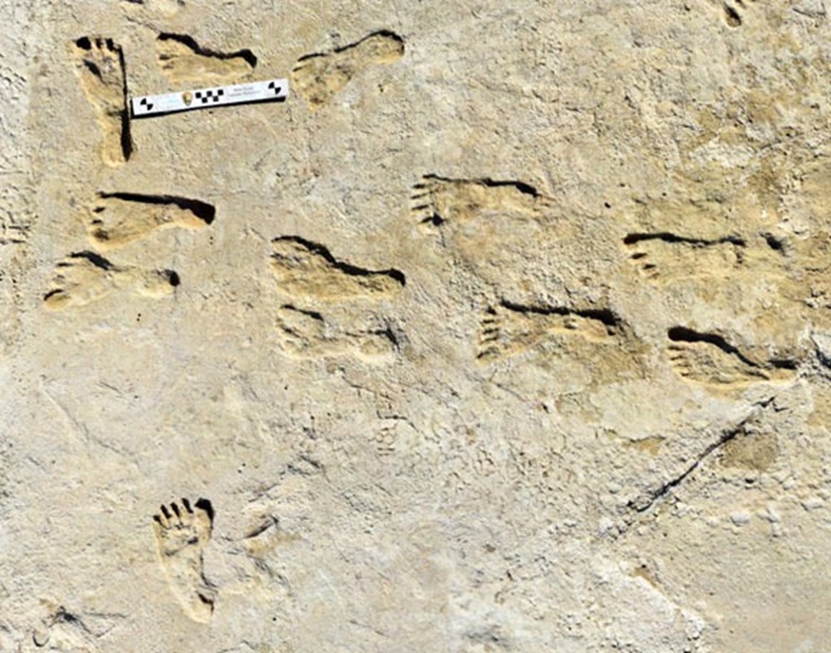 pegadas humanas