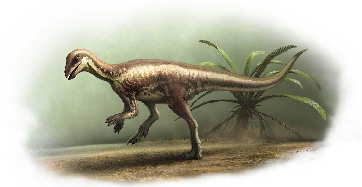 Dinossauro, cachorro