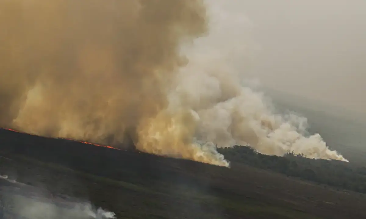 Incêndios florestais, Fumaça, riscos a saúde