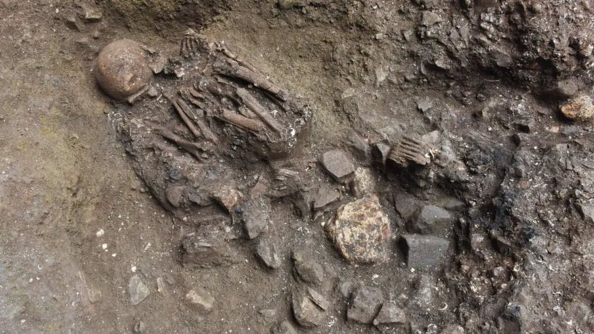 Esqueleto humano, Linhagem desconhecida