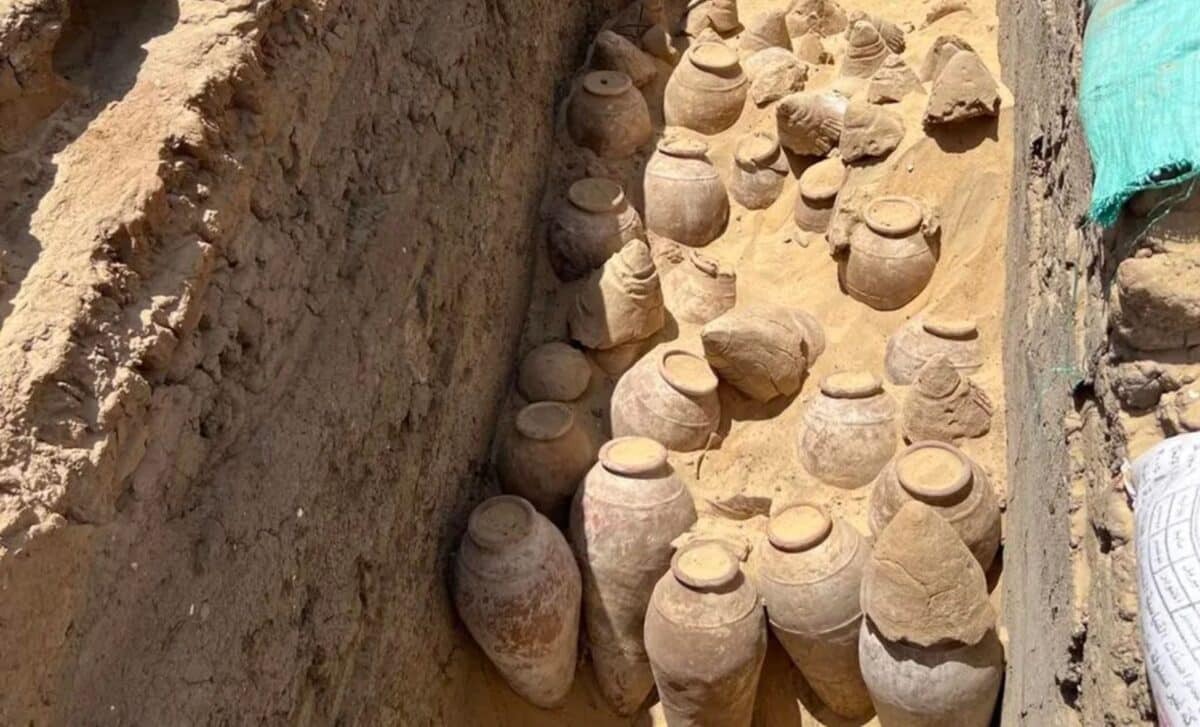 Jarras de vinho