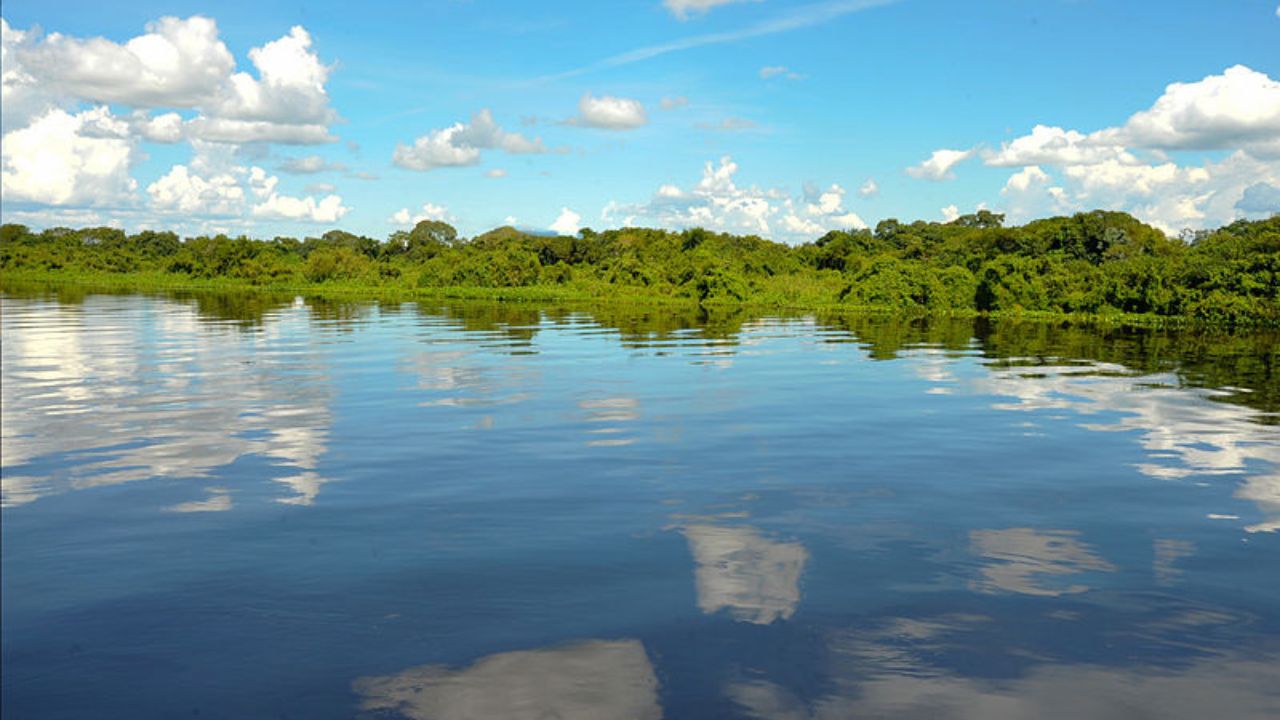 A maior planície inundável do planeta é brasileira, um santuário de biodiversidade com mais de 2500 espécies de animais e plantas que pulsa no ritmo das águas