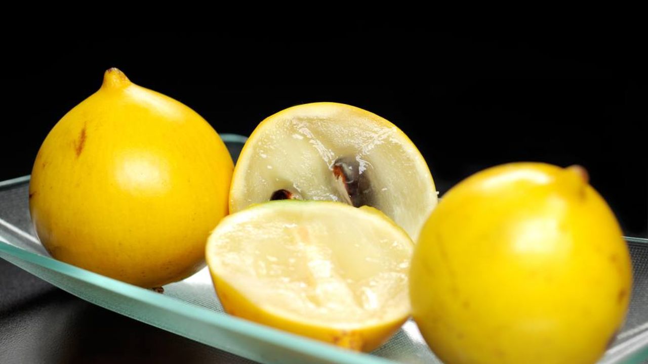 Conheça a trajetória do abiu, fruta exótica da Amazônia, que se tornou sucesso nas feiras paulistas e símbolo de inovação na fruticultura familiar.