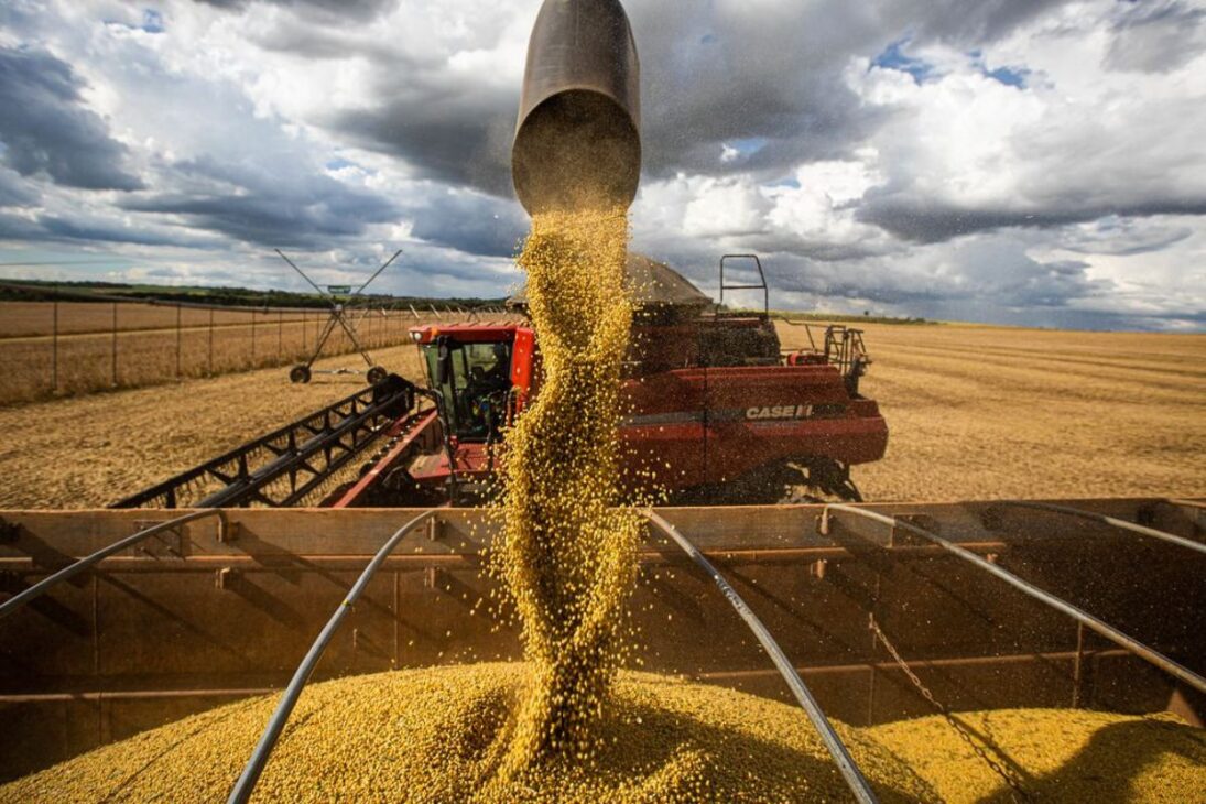 As cidades que sustentam o agronegócio brasileiro: veja quem mais produz e fatura no campo