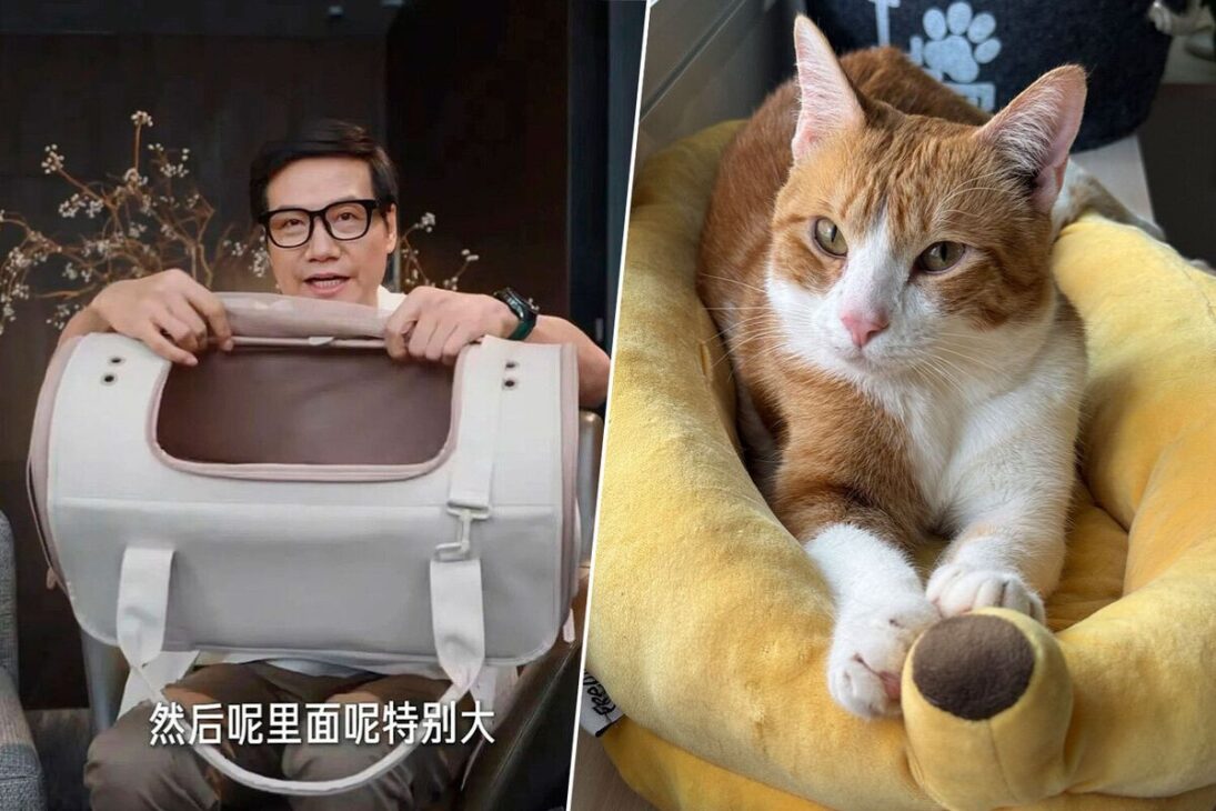 CEO da Xiaomi mostra caixa para gatos e produto esgota em minutos