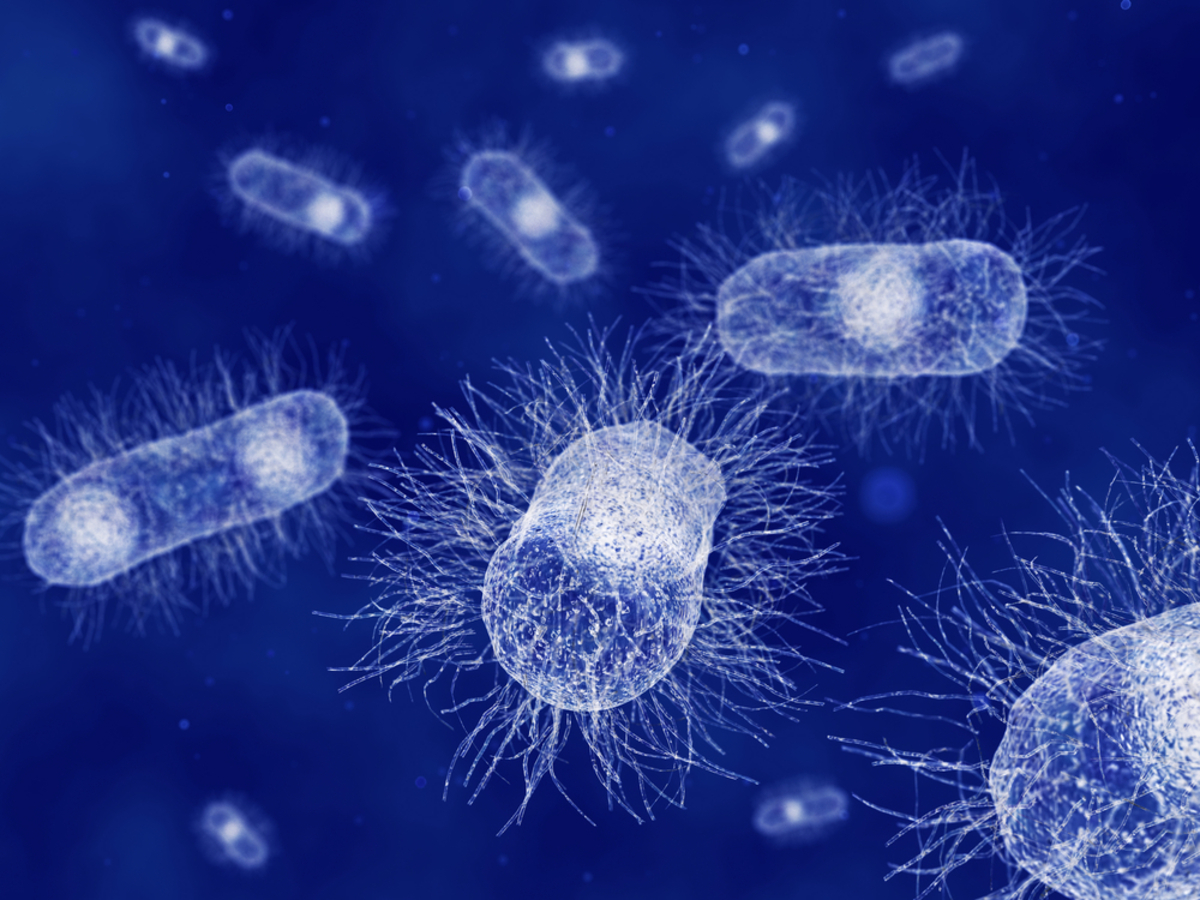 OMS alerta que se não forem encontradas novas soluções, a era dos antibióticos irá chegar ao fim. Compostos naturais são a solução!
