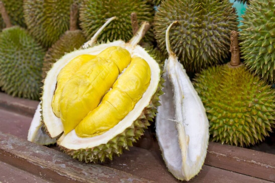 Durian: a fruta que tem mau cheiro, custa R$800 e agora seduz brasileiros pelo valor terapêutico
