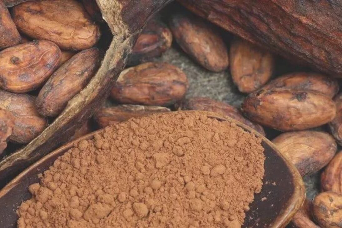 Assim como os grãos de café, as amêndoas de cacau precisam ser torradas. Em grandes tambores rotativos industriais, elas são aquecidas a temperaturas controladas. A torrefação é a etapa que verdadeiramente desperta o aroma e o sabor característicos de chocolate. Após a torra, as amêndoas são descascadas e moídas por uma série de rolos, transformando-se em uma pasta espessa e amarga conhecida como "líquor de cacau" ou massa de cacau.