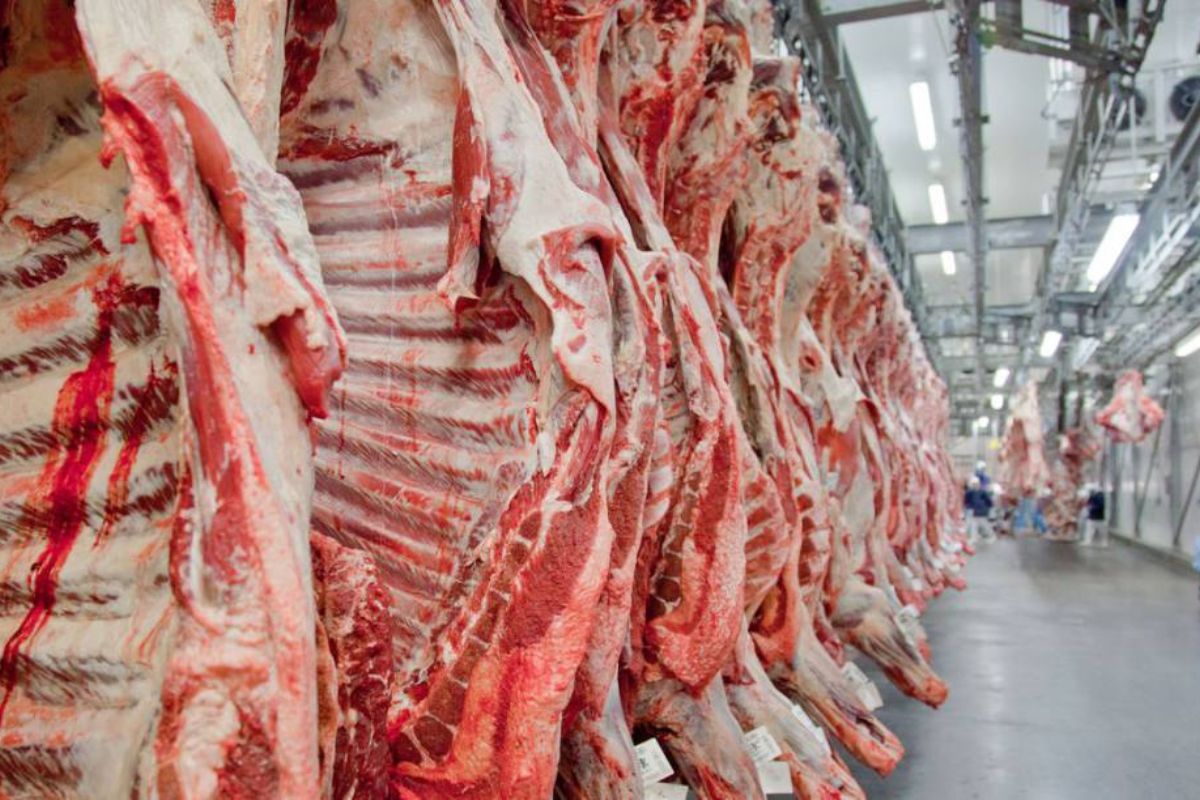 A Batalha dos Gigantes: Quem Tem o Maior Frigorífico do Brasil em 2025?