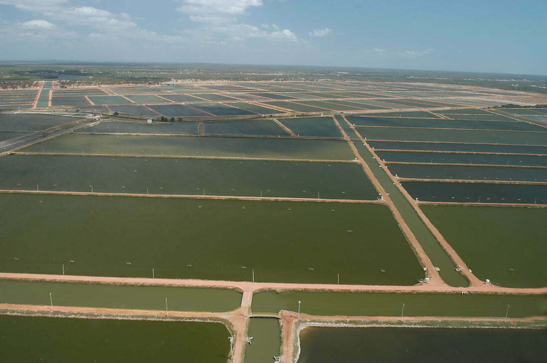 O rio que fez o sertão florescer agora luta para sobreviver: Jaguaribe, o mais longo do Ceará, enfrenta poluição, esgoto e ocupações irregulares