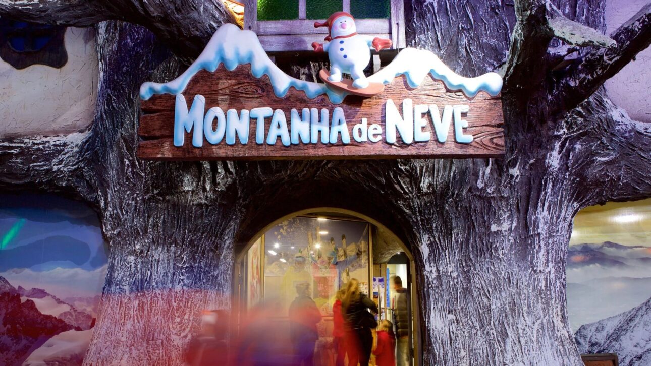 Descubra como o Parque Snowland em Gramado traz neve real ao Brasil o ano todo, com atrações de inverno para toda a família.