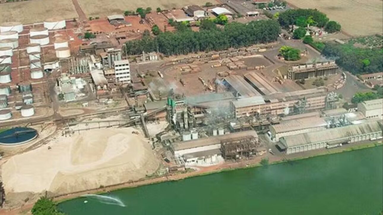Demissão em massa atinge 2.000 na Raízen: sindicato reage e conquista plano de saúde, abono e seguro para funcionários 1 Demissão em massa na Raízen impacta 2.000 em Sertãozinho. Sindicato garante benefícios como plano de saúde e seguro após fechamento da usina.