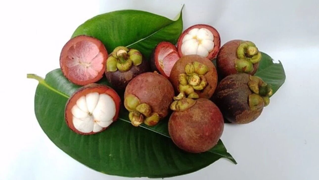 Descubra qual é a fruta mais cara do Brasil em 2025, o valor por quilo, curiosidades do mangostão e por que ela foi eleita a mais saborosa.