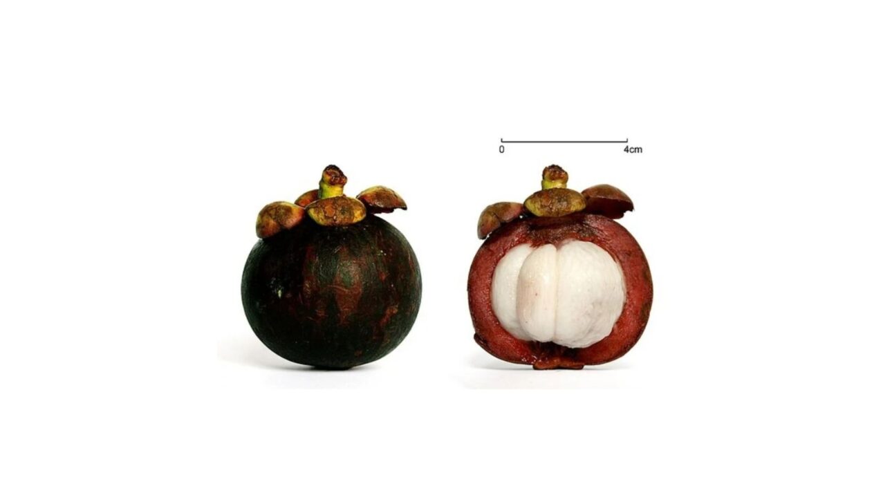 Descubra qual é a fruta mais cara do Brasil em 2025, o valor por quilo, curiosidades do mangostão e por que ela foi eleita a mais saborosa.