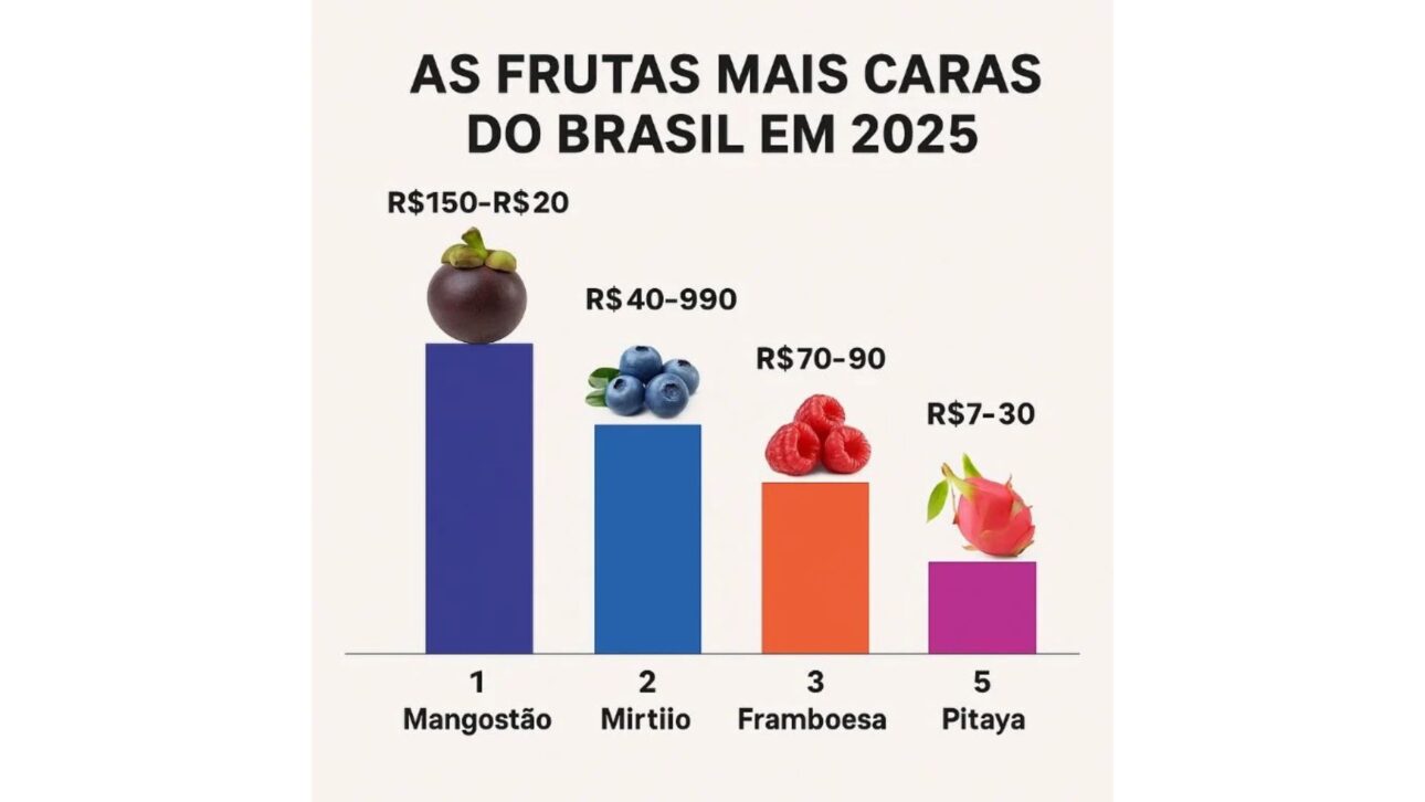 fruta mais cara do Brasil, mangostão, fruta exótica, preço do mangostão, frutas raras, frutas importadas, TasteAtlas, fruta mais saborosa

