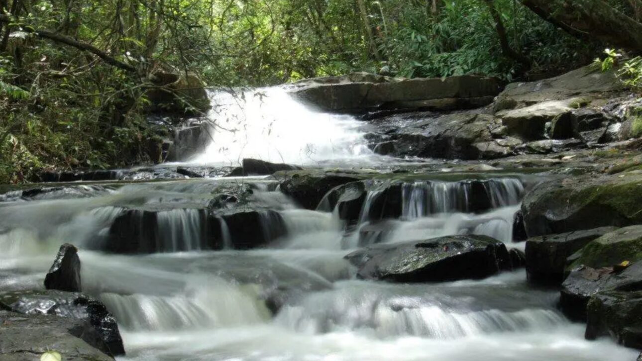 Descubra Analândia, a cidade congelada no tempo perto de SP, com trilhas, cachoeiras e grutas milenares. Refúgio de paz e natureza.