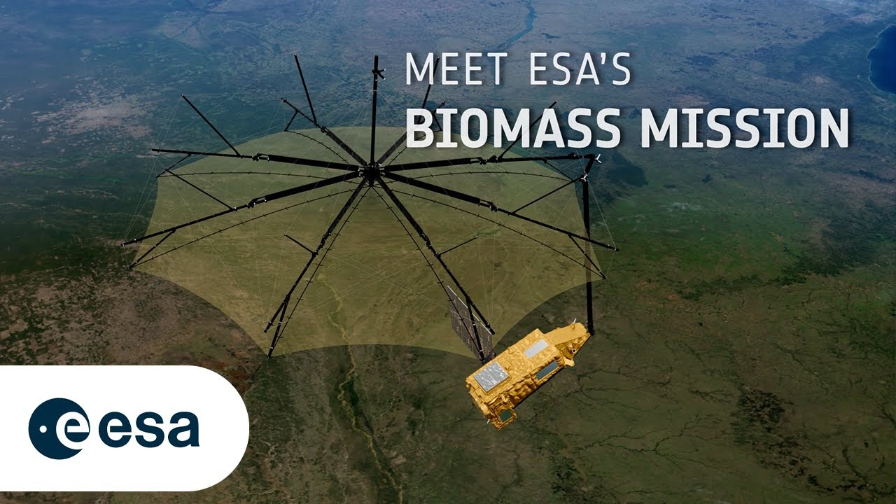 ESA lança o primeiro satélite com radar de banda P para enxergar o carbono das florestas em detalhes nunca vistos antes