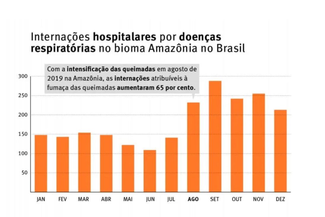 O dia em que o céu de São paulo escureceu: a ciência por trás do fenômeno que trouxe a noite Amazônica para a metrópole