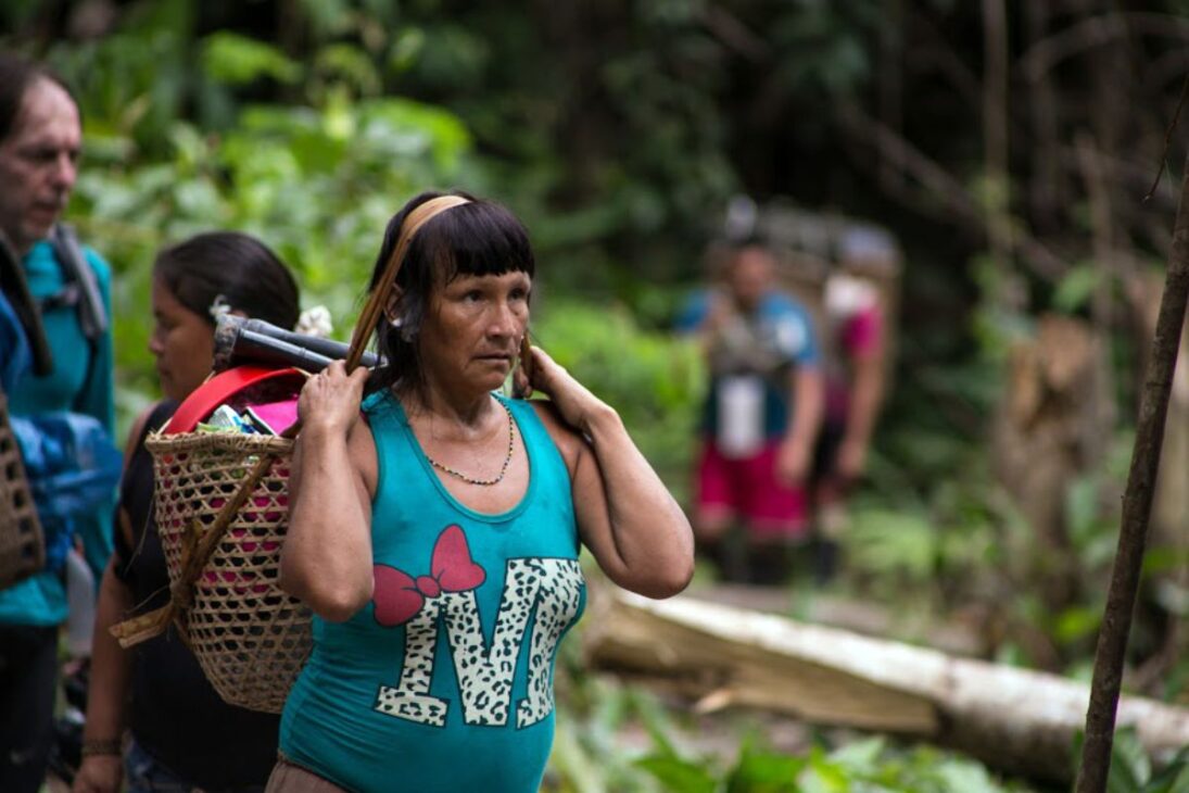 O ponto mais alto do Brasil tem 2.995 metros de altitude, ficou fechado por quase 20 anos e sua jornada pela Floresta Amazônica é uma das mais desafiadoras
