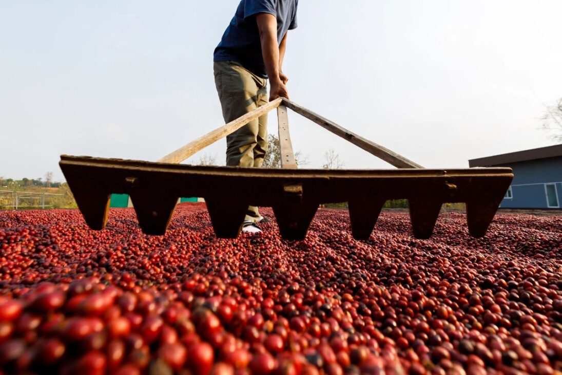 Os 10 produtos brasileiros mais exportados para os EUA, que somam bilhões de dólares em vendas