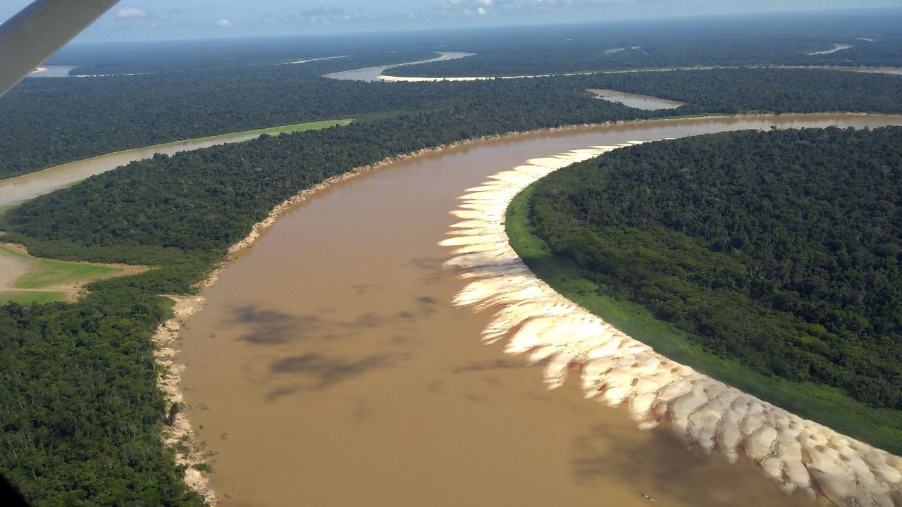 Margem do rio Juruá.