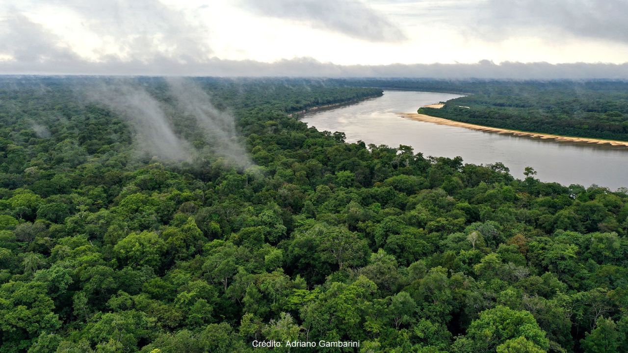 O Rio Purus, com 3.218 km, destaca-se por seu trajeto sinuoso e suas águas escuras.