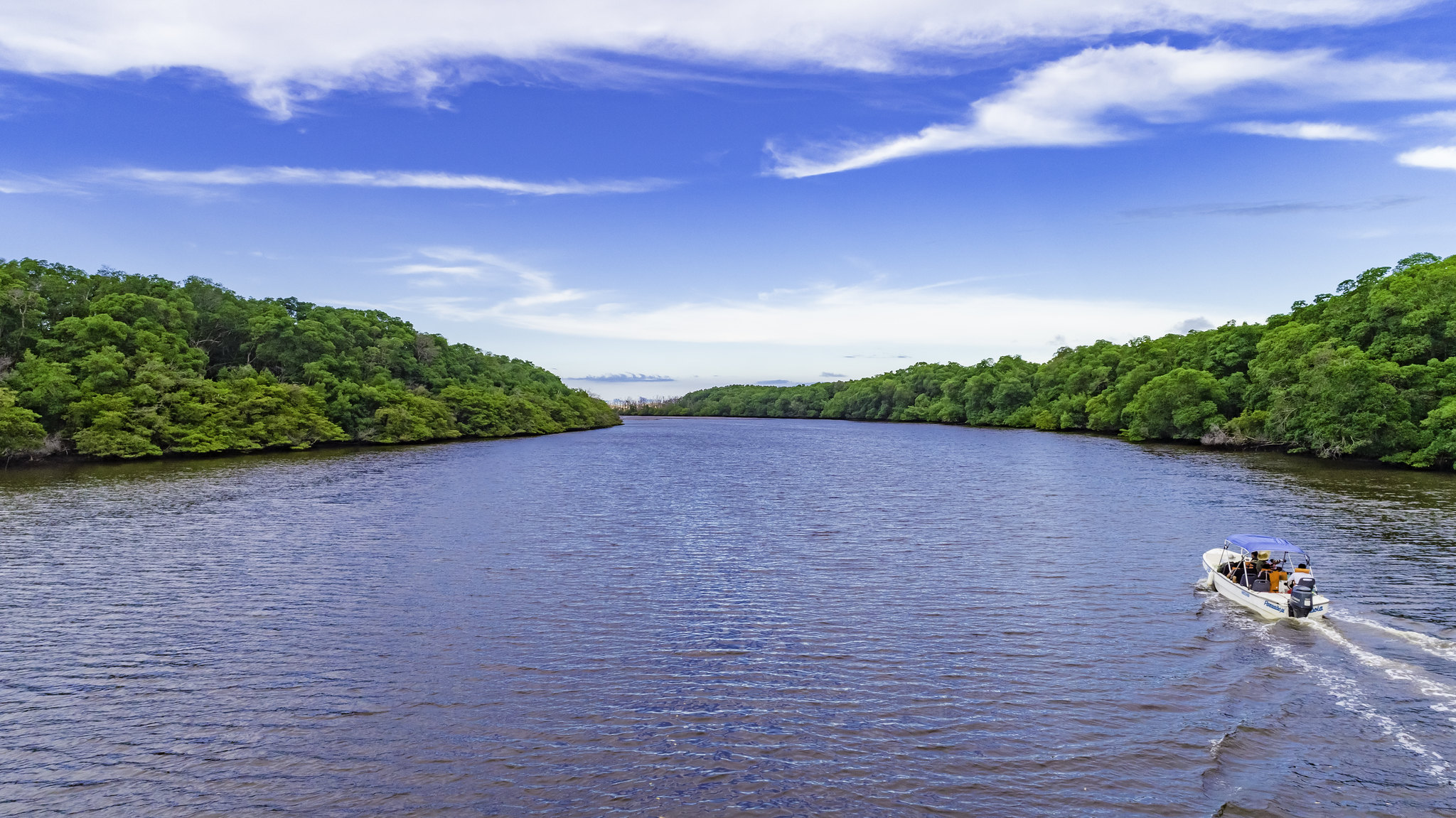 Rio Parnaíba impulsiona soja, milho e pecuária no Nordeste e Norte do Brasil