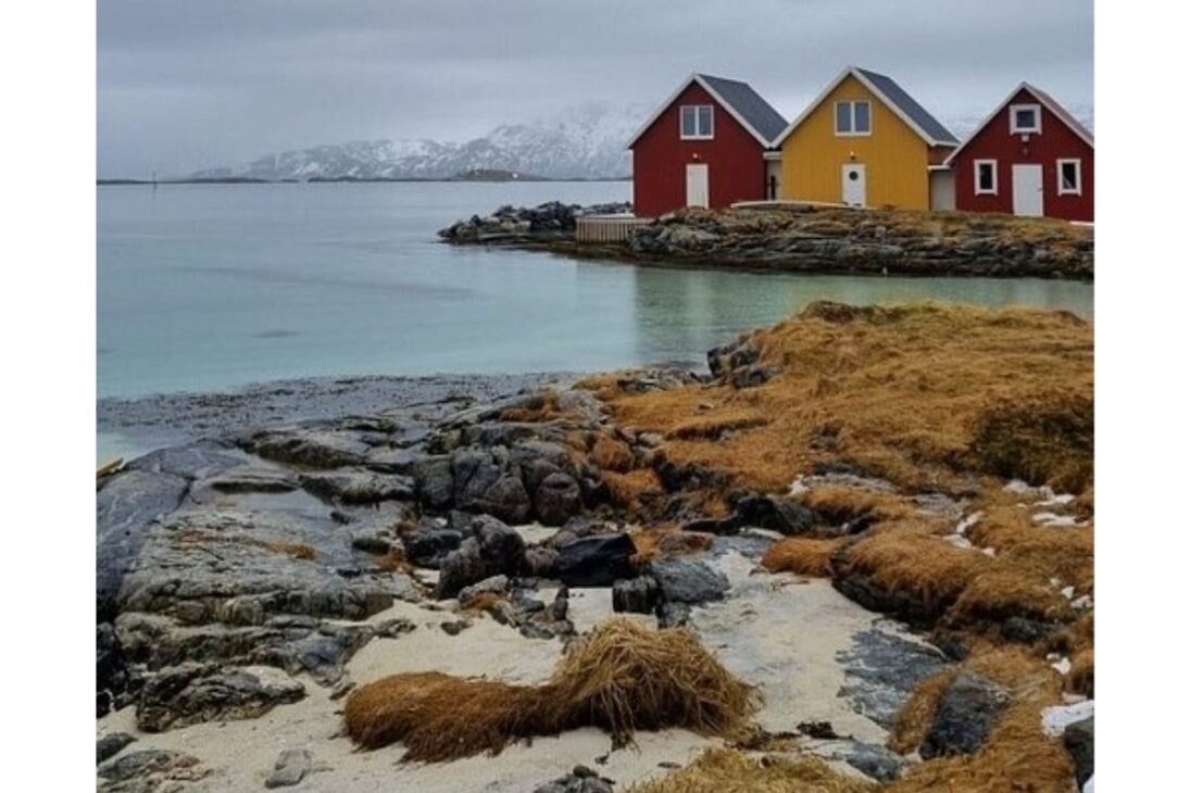 Sommarøy: a ilha norueguesa onde relógios foram abolidos e o tempo não existe mais