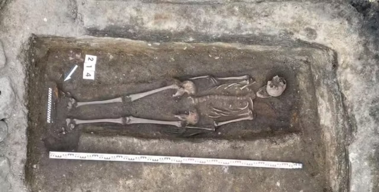 Cavaleiro Medieval, Idade média, Cavaleiro