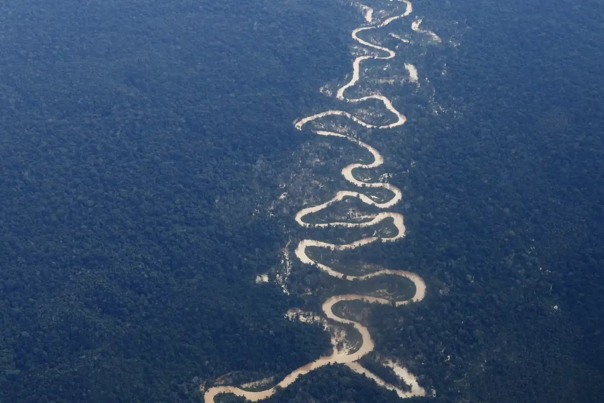 Desmatamento na Amazônia eleva risco de novas pandemias. Entenda como atividades como garimpo e queimadas ameaçam a saúde global.