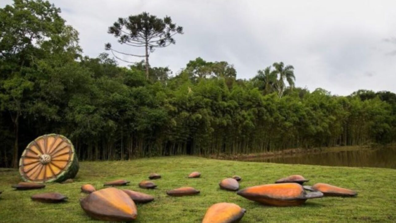 Descubra o Parque Pinhal de Santana em Curitiba, com pinhões gigantes, atrações inclusivas e cultura paranaense em meio à natureza.