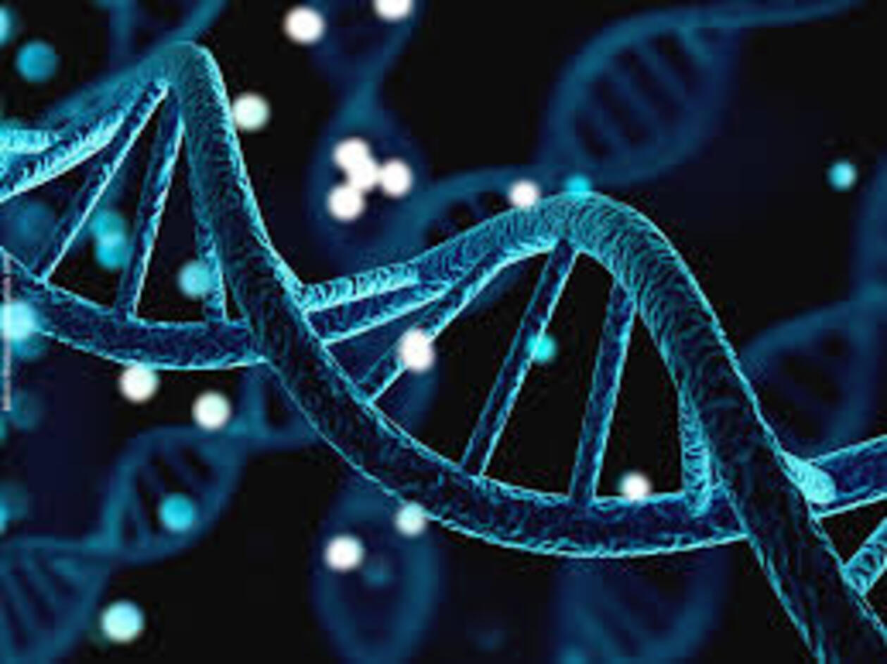 Cientistas dão o primeiro passo para construir o DNA humano do zero. Projeto ousado com potencial para curar doenças e criar vida sintética.