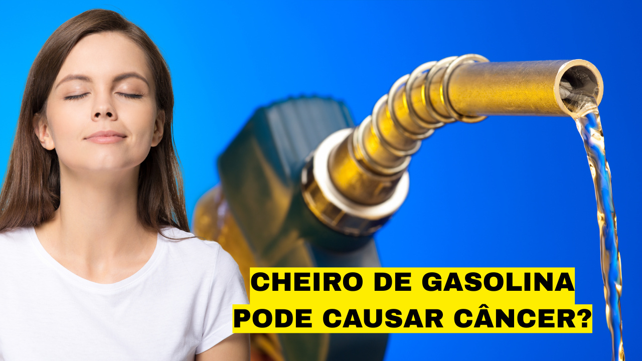 Fonte: Canva