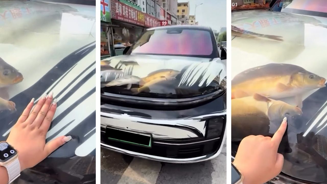 Um chinês foi preso após transformar o capô de seu Li Auto L9 em um aquário improvisado com peixes vivos. O caso gerou revolta nas redes e levou à intervenção da polícia por violação das leis de modificação veicular.