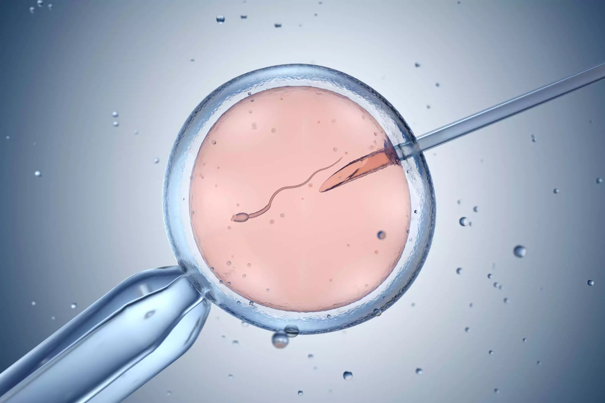 Saiba mais sobre como por meio de uma técnica revolucionária de fertilização in vitro, cientistas geram bebês livres de doenças hereditárias.