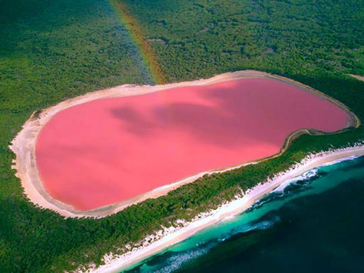Saiba mais sobre os lagos cor-de-rosa da Austrália e o por que esse fenômeno acontece, mas também, por que alguns estão perdendo a cor.