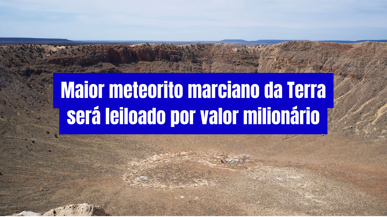 Meteorito de Marte mais pesado já encontrado na Terra será leiloado por até R$ 21 milhões; evento ocorre em julho, em Nova York.