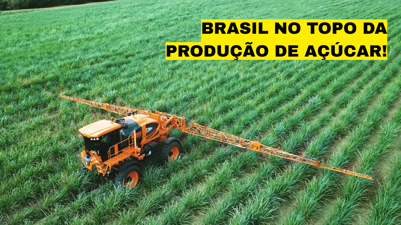 Fonte: Jacto Agrícola e Canva