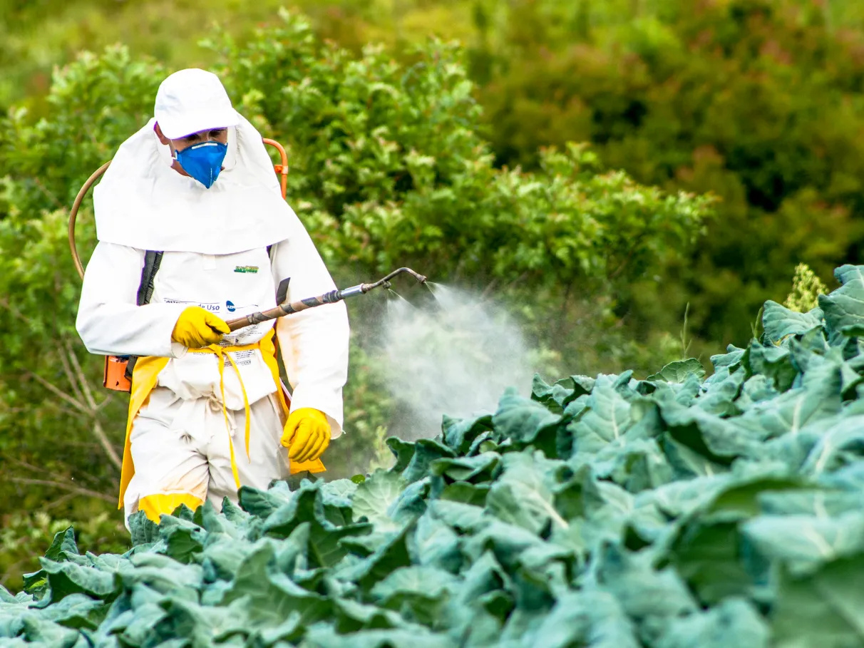 Saiba mais sobre o que são agrotóxicos, como são classificados, e qual o seu verdadeiro impacto na produção de alimentos e no meio ambiente.