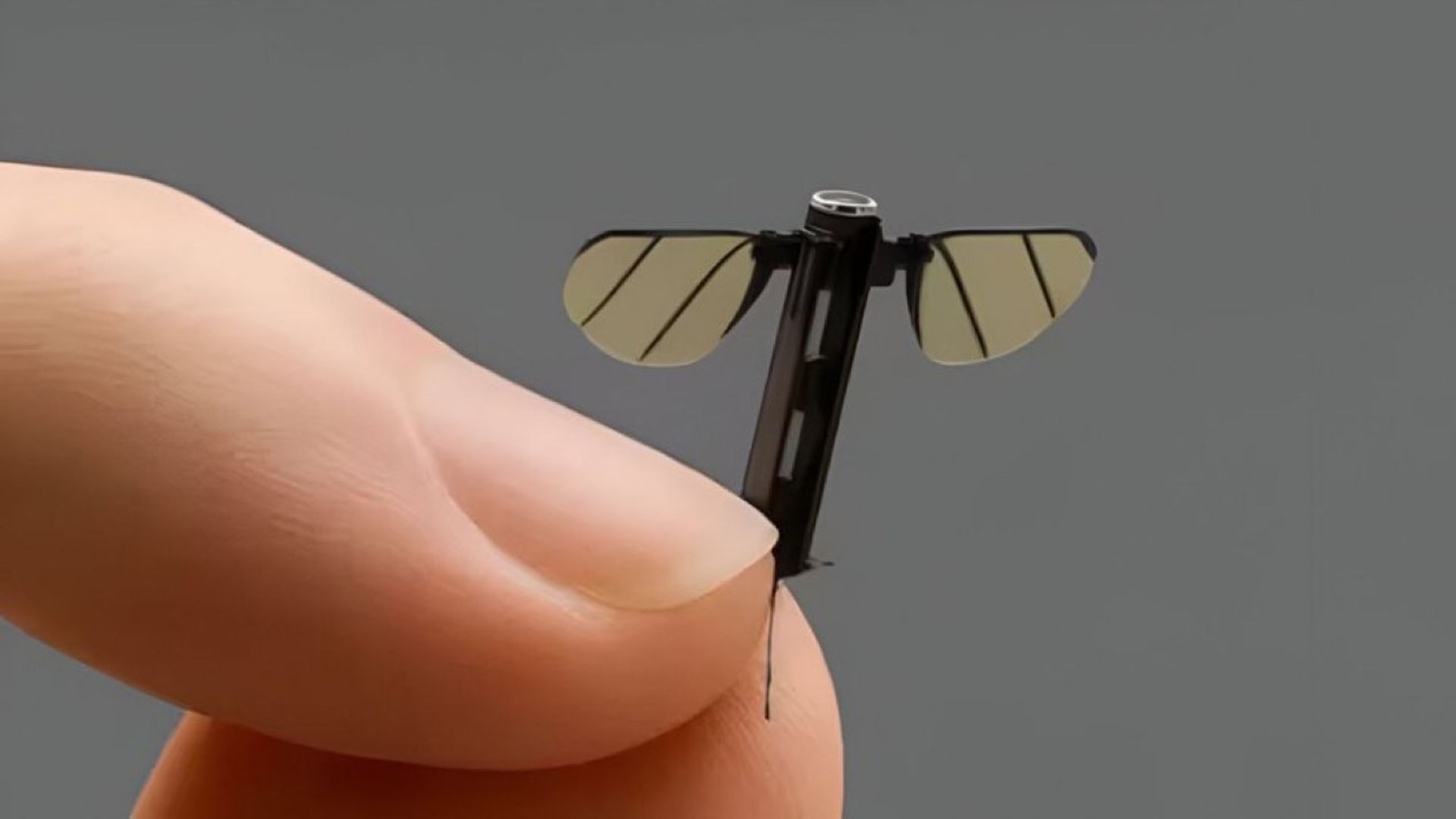 Microdrone minúsculo com asas de inseto pousado na ponta de um dedo humano, em fundo cinza neutro