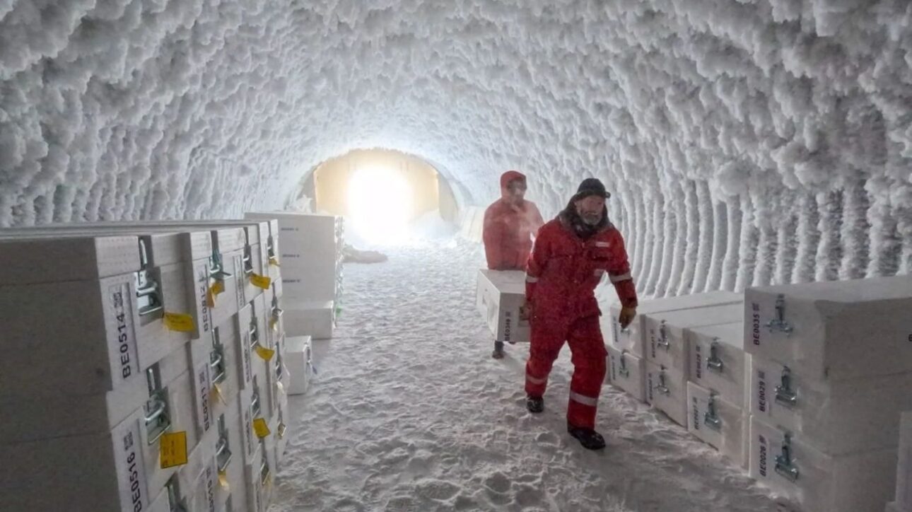 Os núcleos foram armazenados em uma caverna de gelo na Antártica antes de serem carregados em um navio para a Europa.