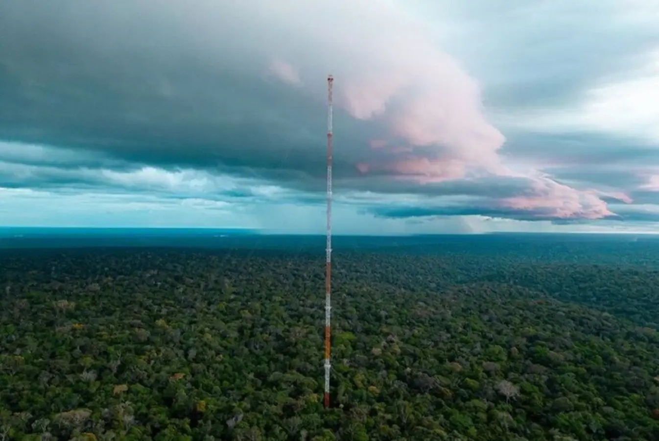 Saara, Floresta, Amazônia, Poeira