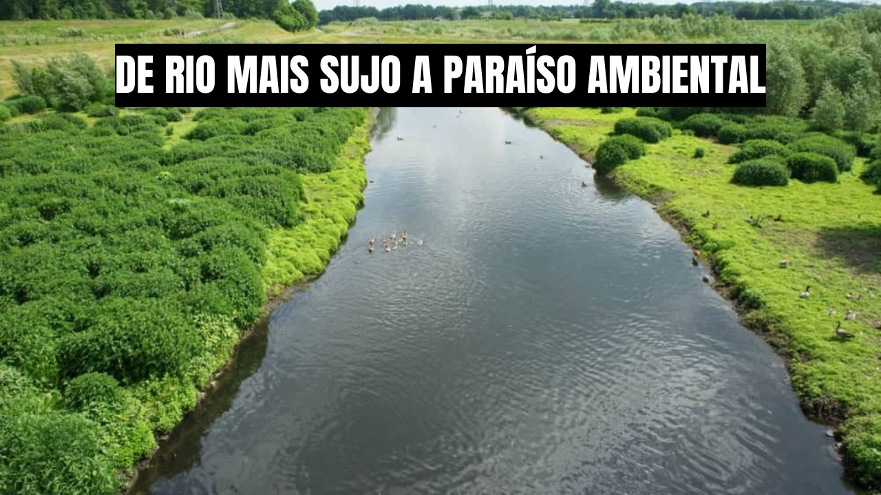 Entenda como a Alemanha o rio mais sujo da Europa em um exemplo mundial de despoluição e recuperação ambiental. Fonte: Shutterstock