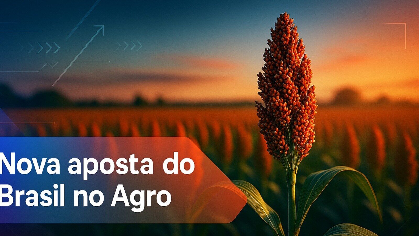 Agronegócio, sorgo, exportações