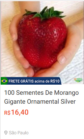 100 sements morango gigante japones com manual de cultivo